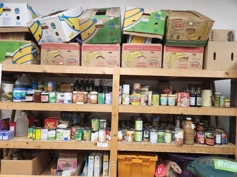 Pantry shelves stocked with canned goods