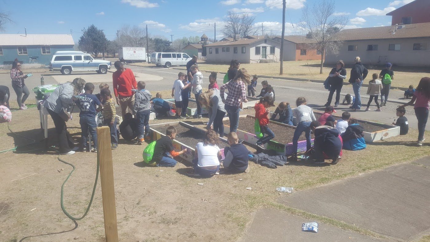 A big group of kids planting in raised beds