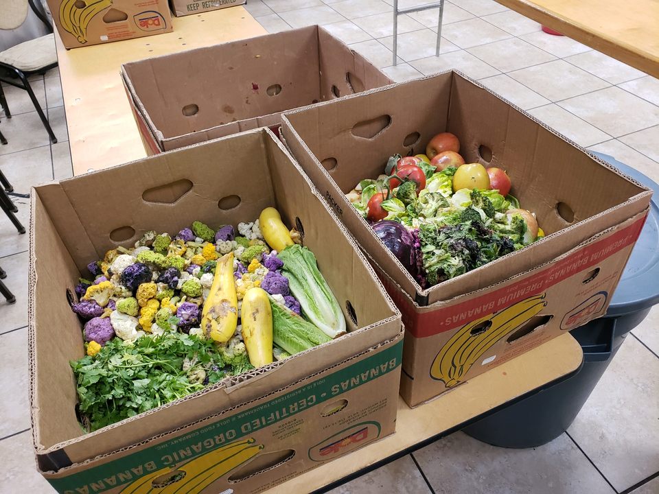 Boxes of fresh vegetables