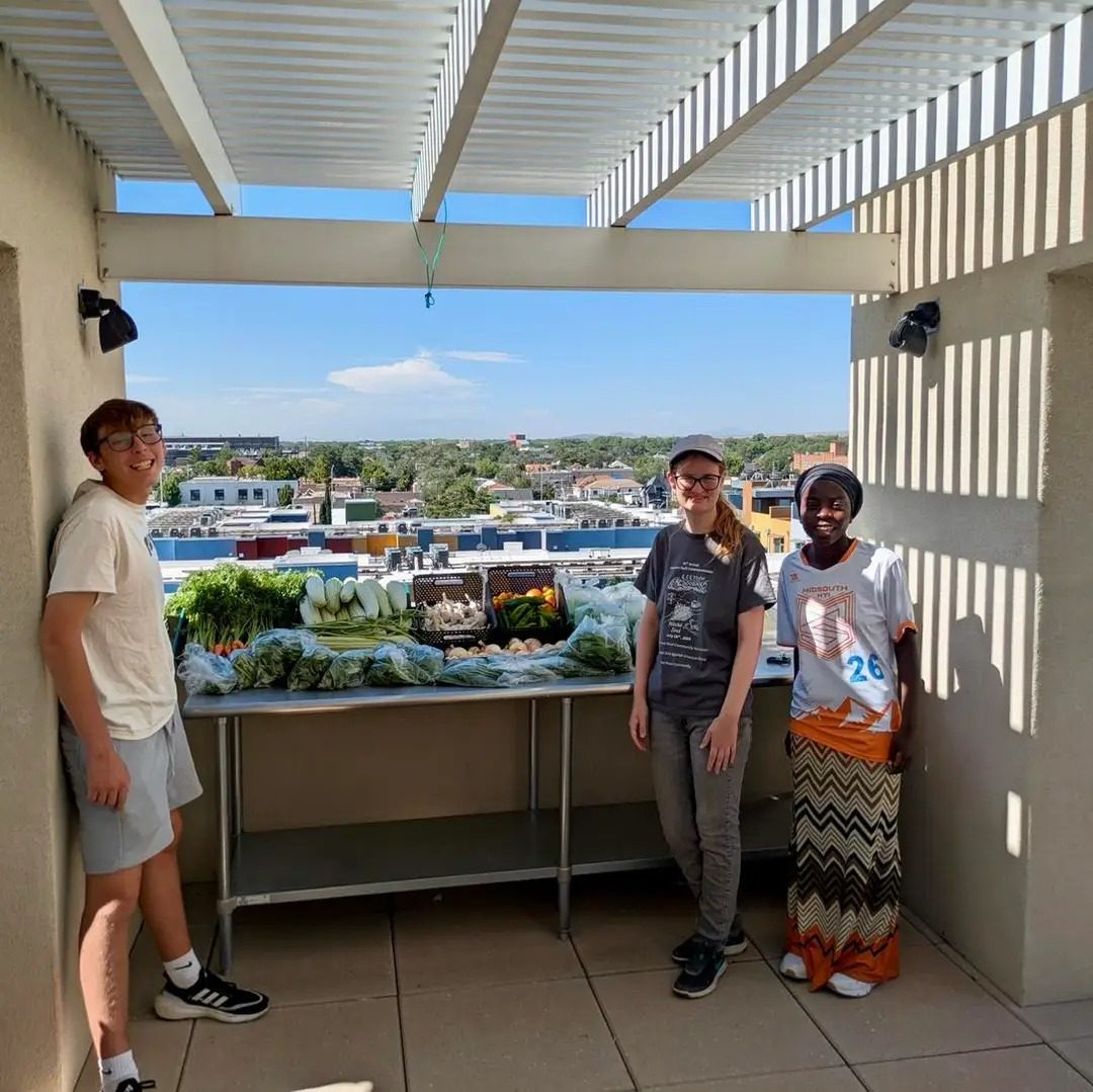 Young volunteers with a table of harvested greens on a rooftop garden