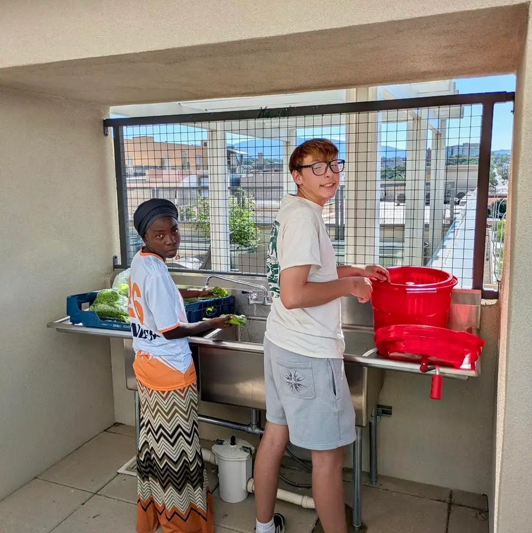 Volunteers washing fresh produce at a rooftop sink
