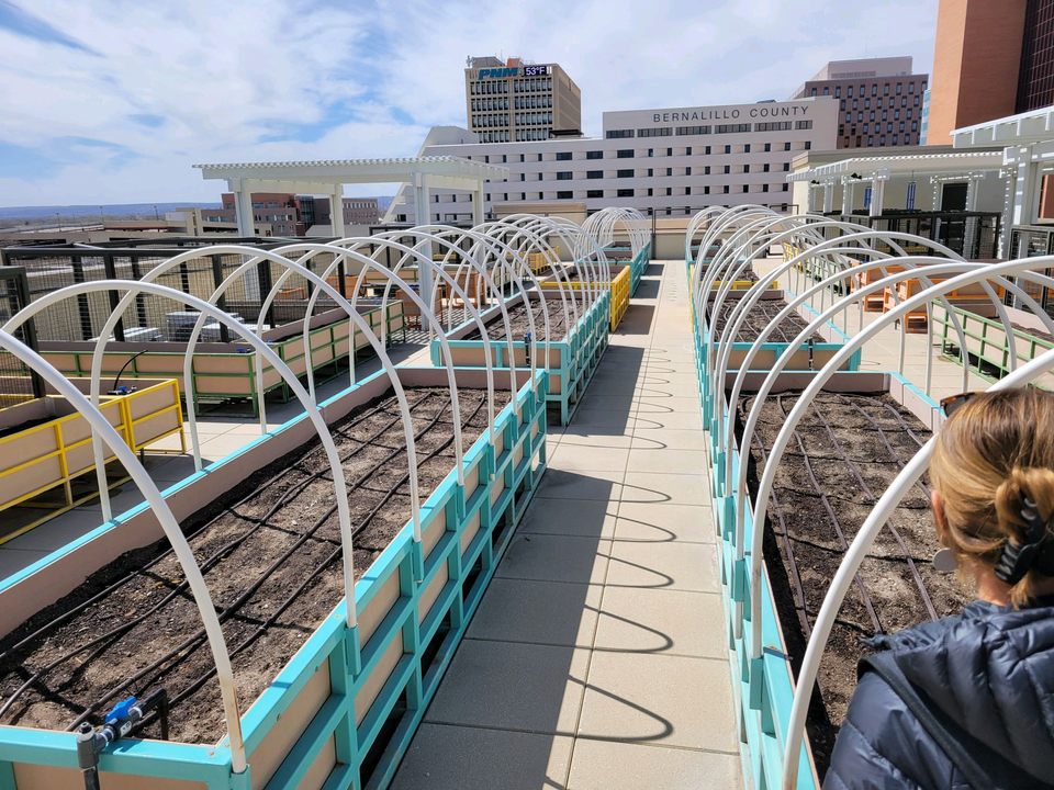 Hoop-covered raised beds on a rooftop