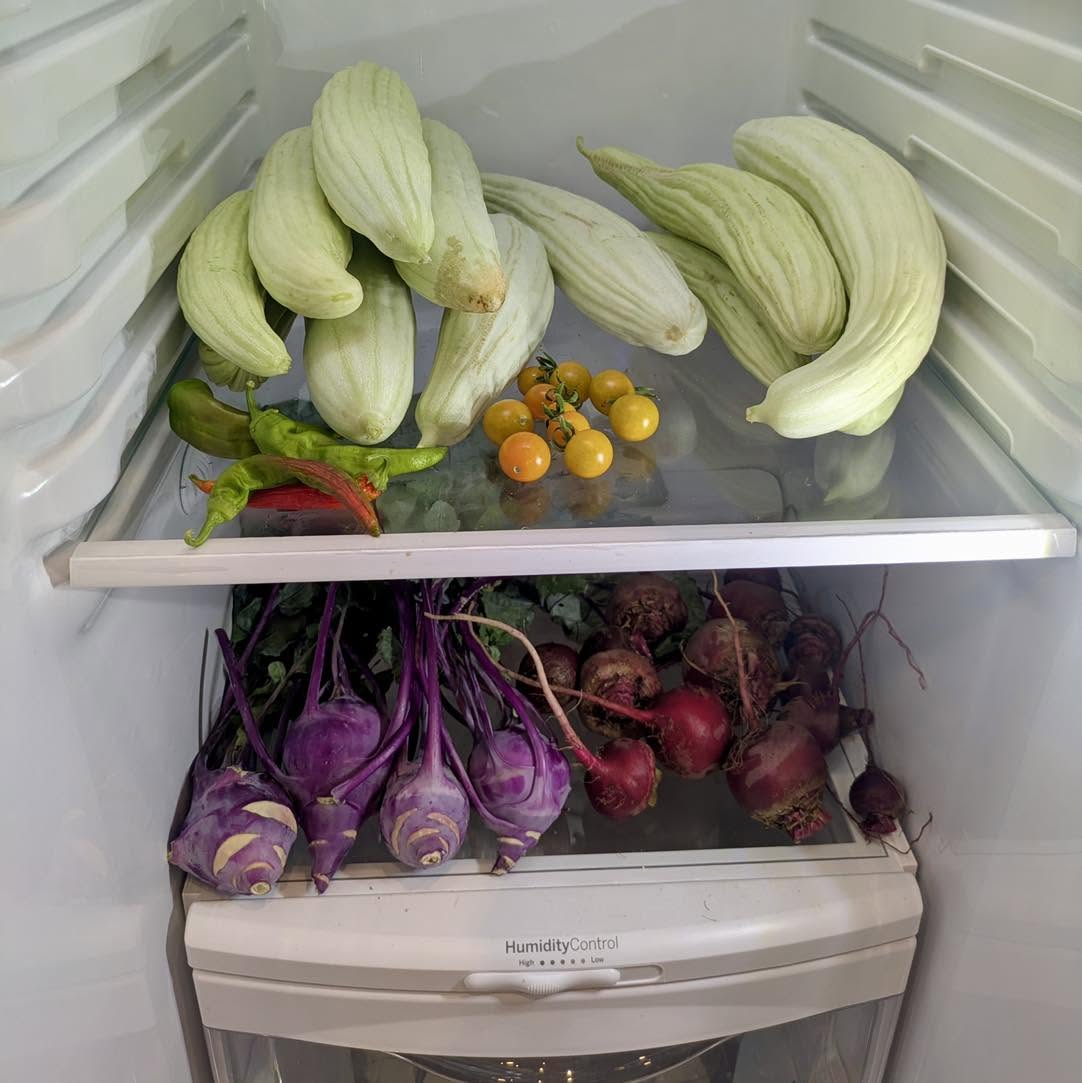 A refrigerator stocked with fresh garden produce