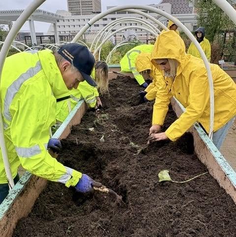 Volunteers in rain gear planting a raised bed